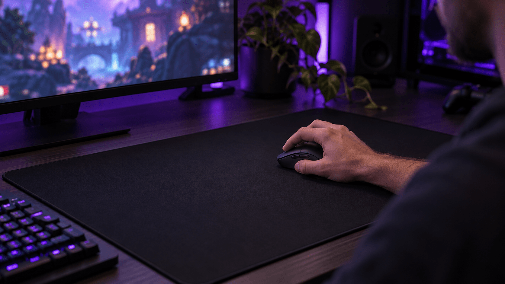 lifestyle setup
